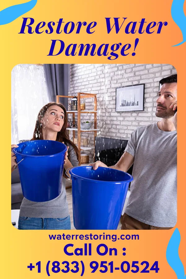 water restoration North Water Restoration Network Oradell