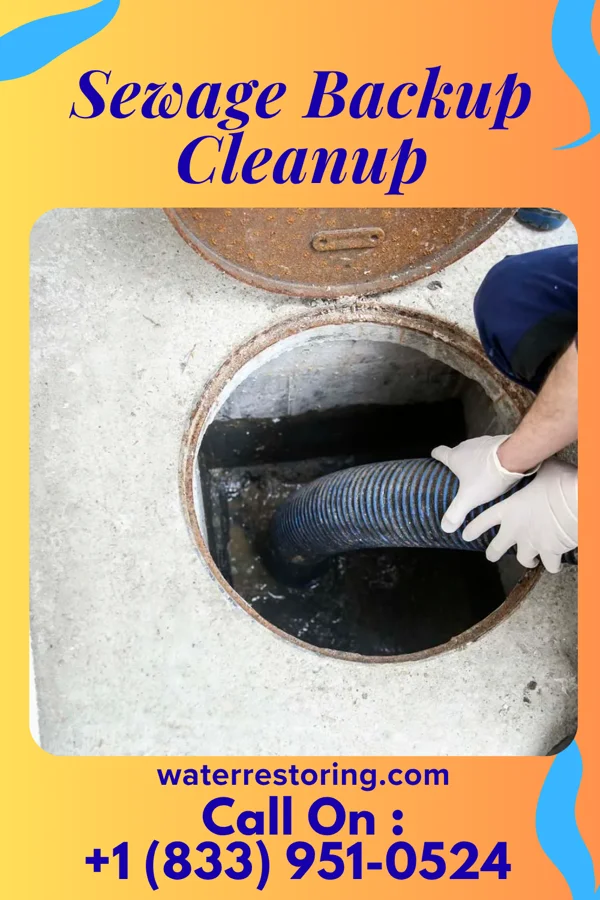 Sewage Backup Cleanup in Oradell, NJ